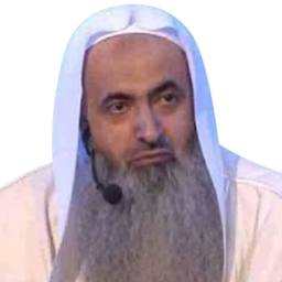 أحمد الحواشي