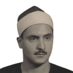 محمد المنشاوي