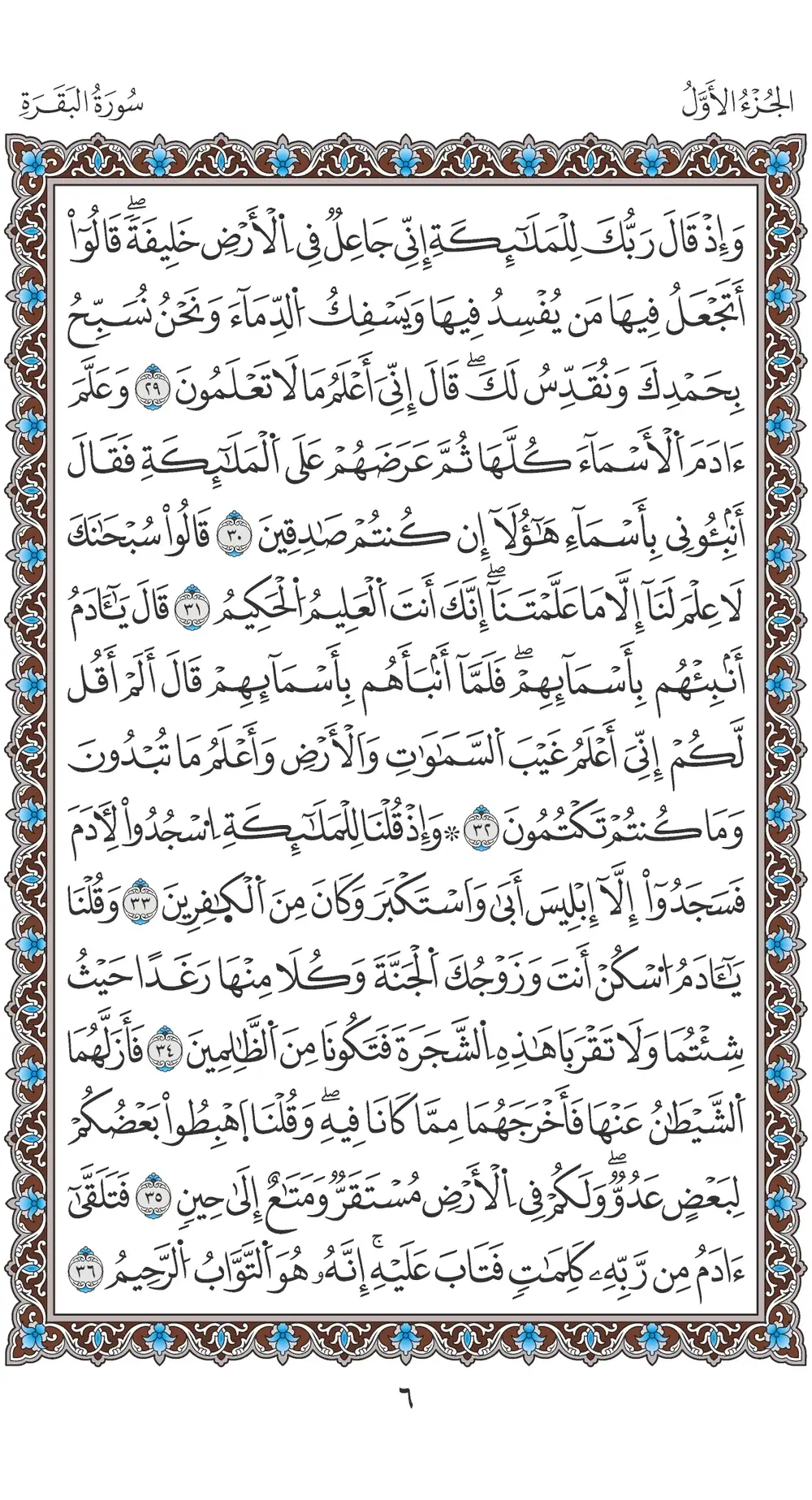 صفحة 6