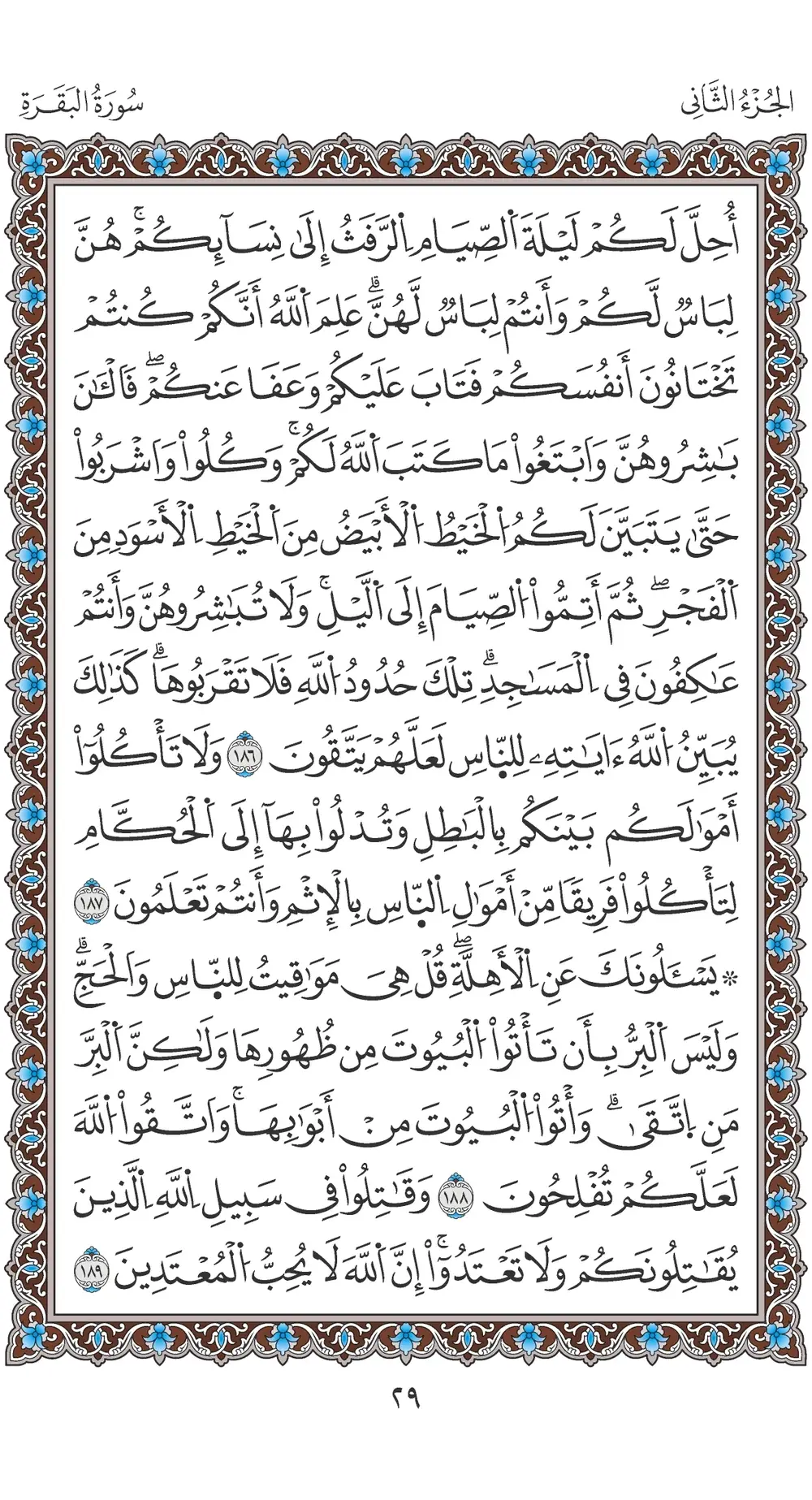 صفحة 29