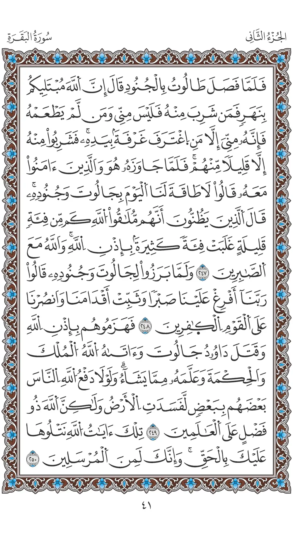 صفحة 41
