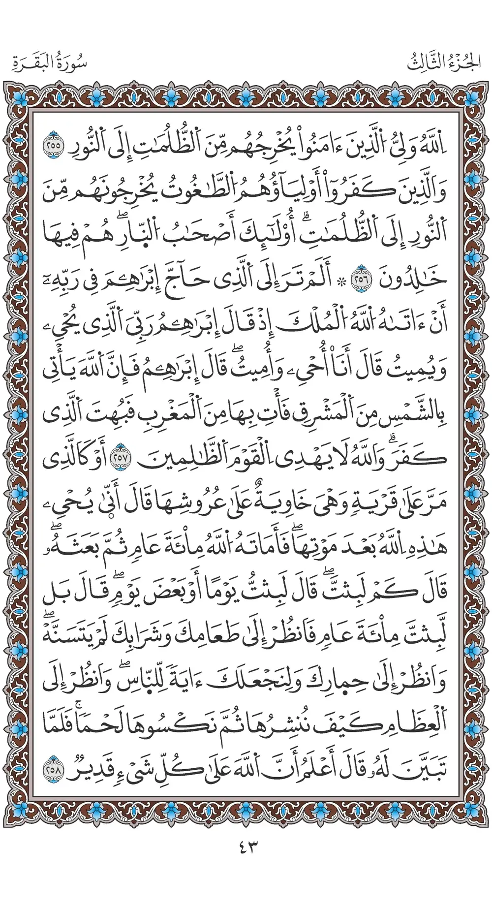 صفحة 43