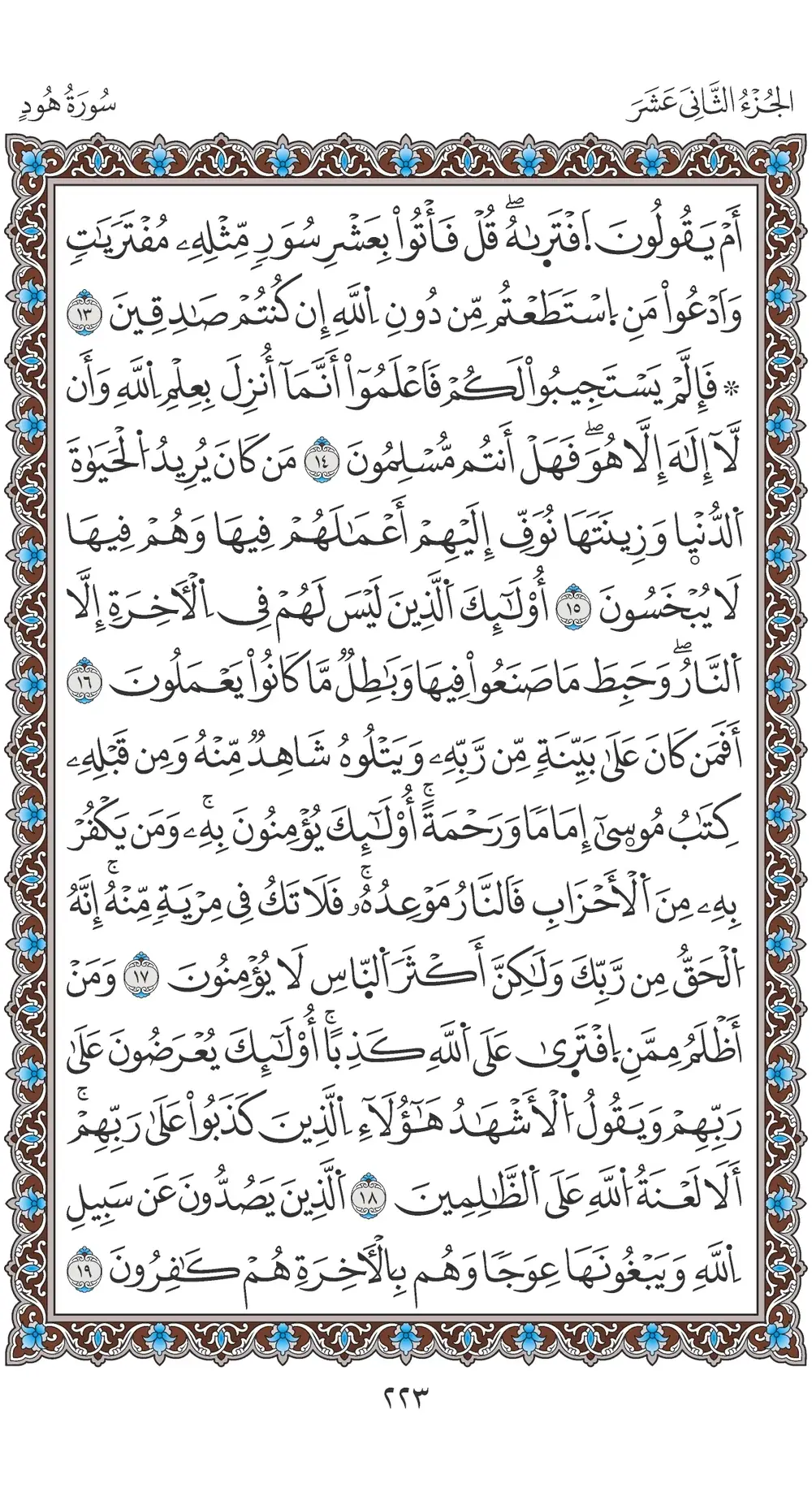 صفحة 223