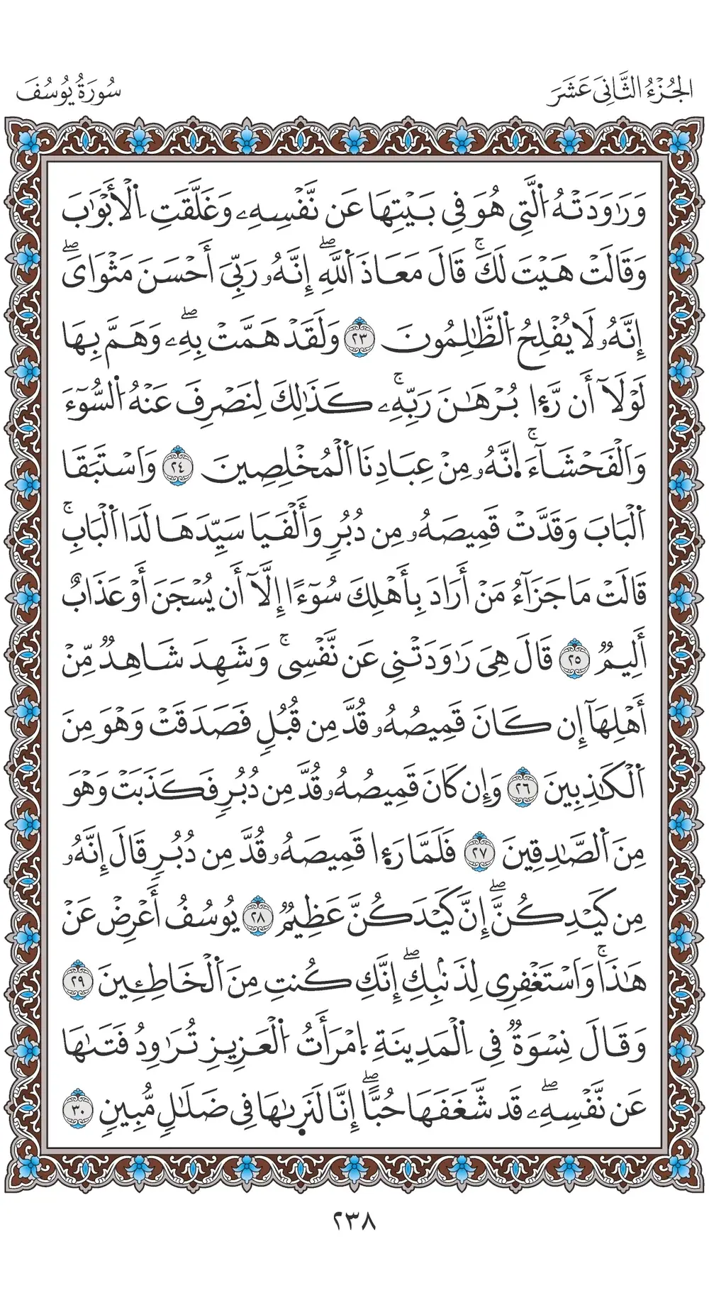 صفحة 238