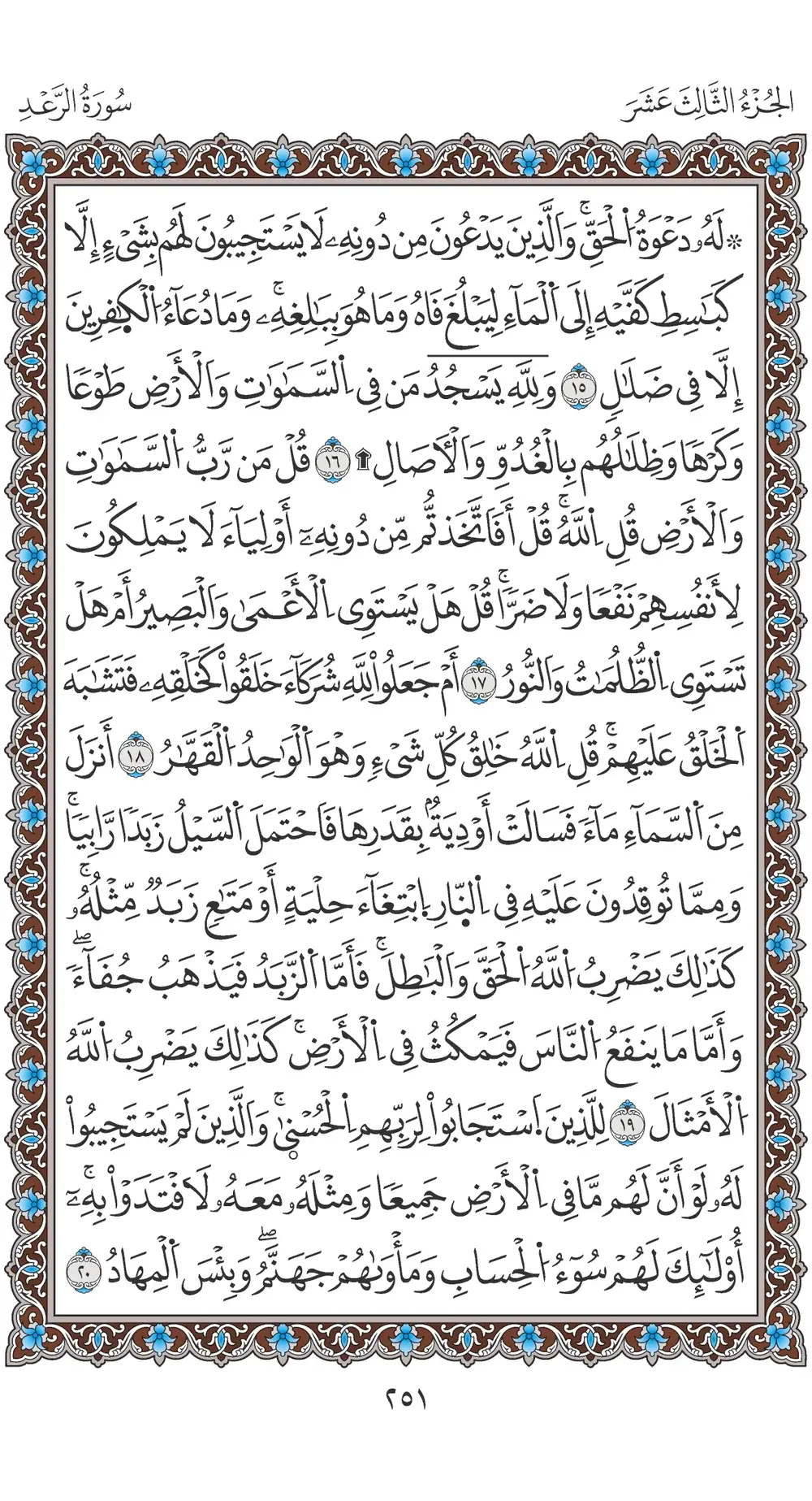 صفحة 251