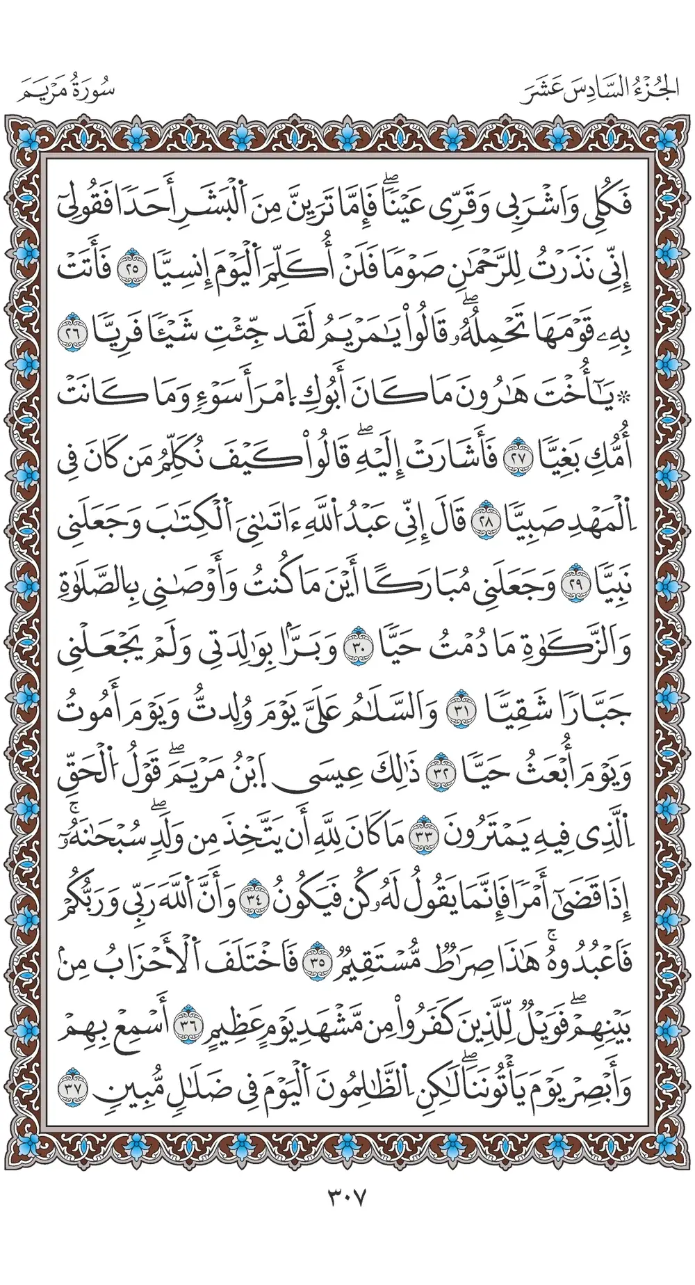 صفحة 307