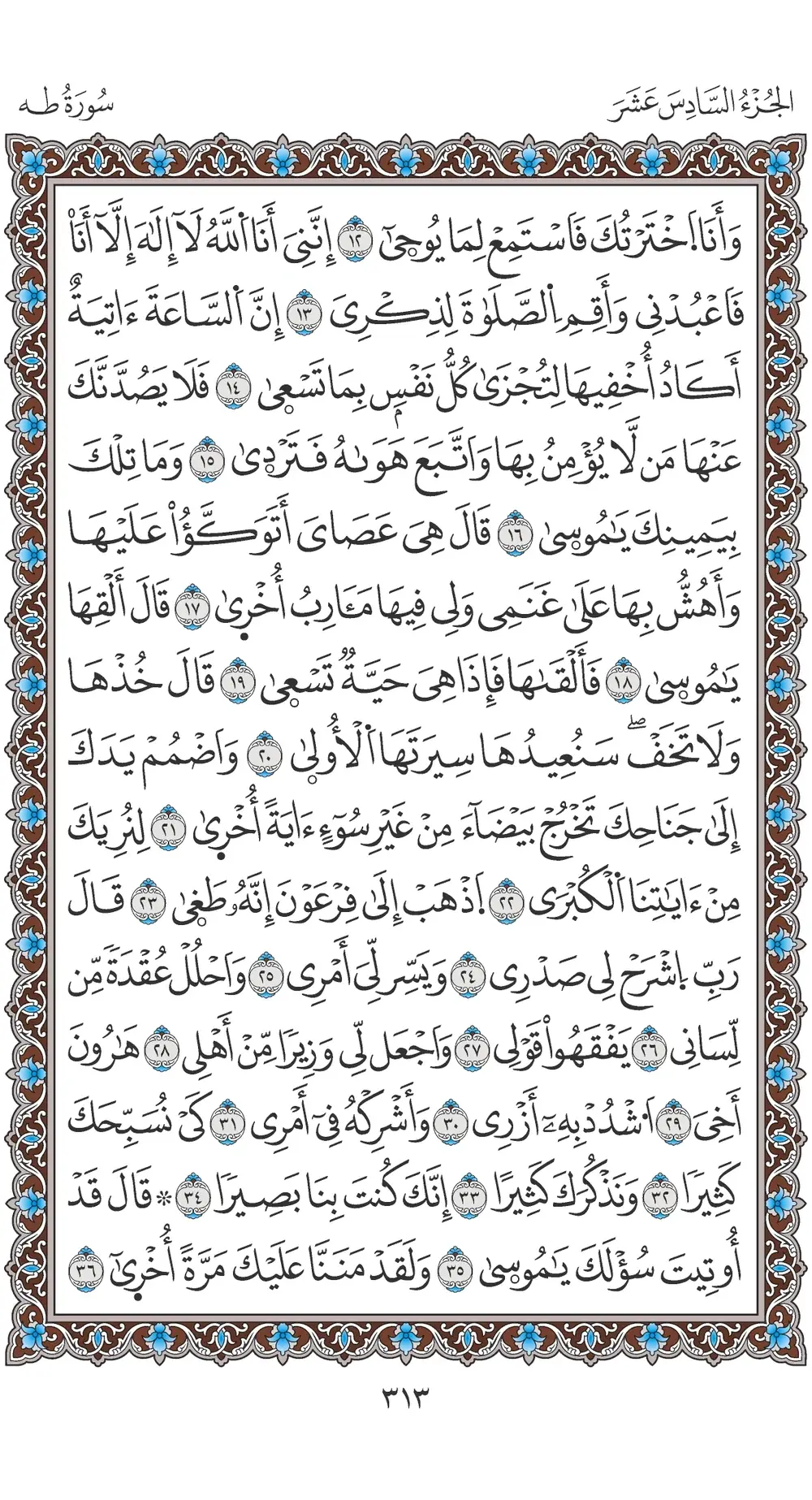 صفحة 313