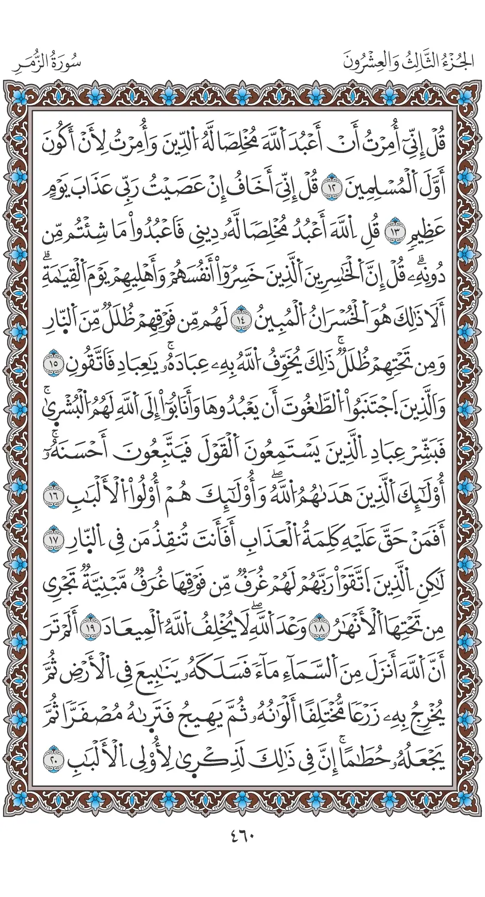 صفحة 460