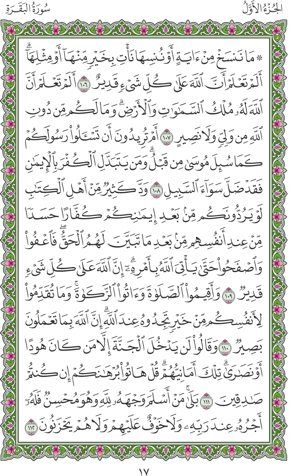 صفحة 17