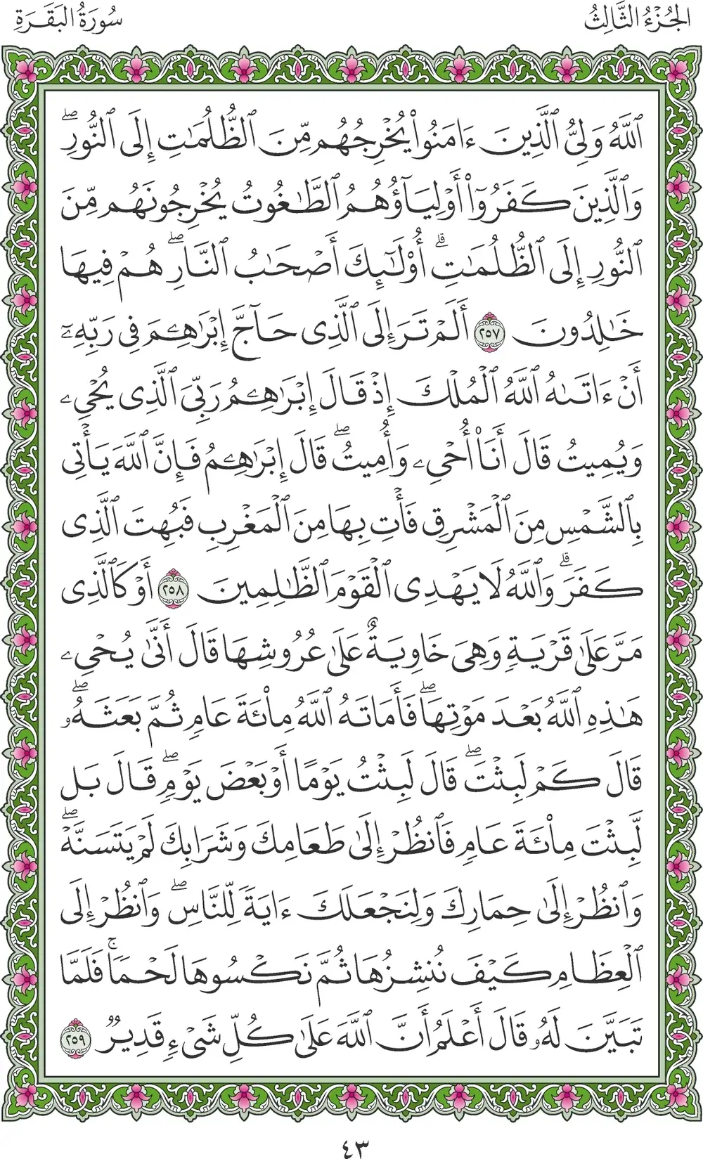 صفحة 43