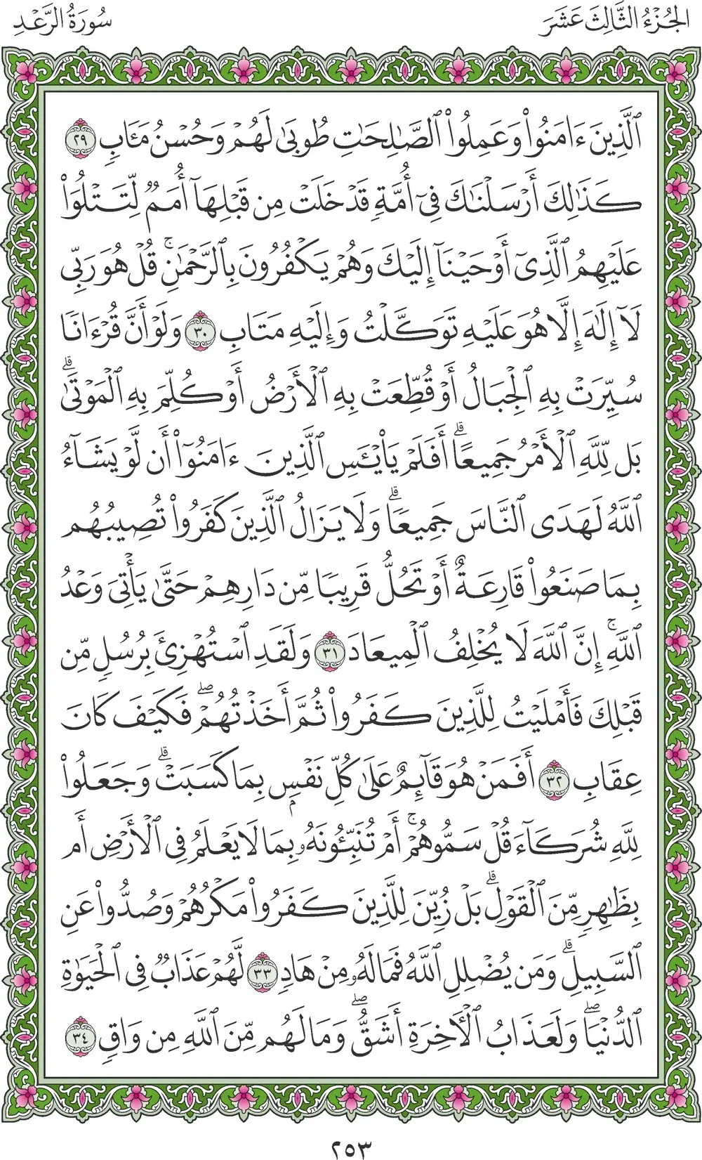 صفحة 253