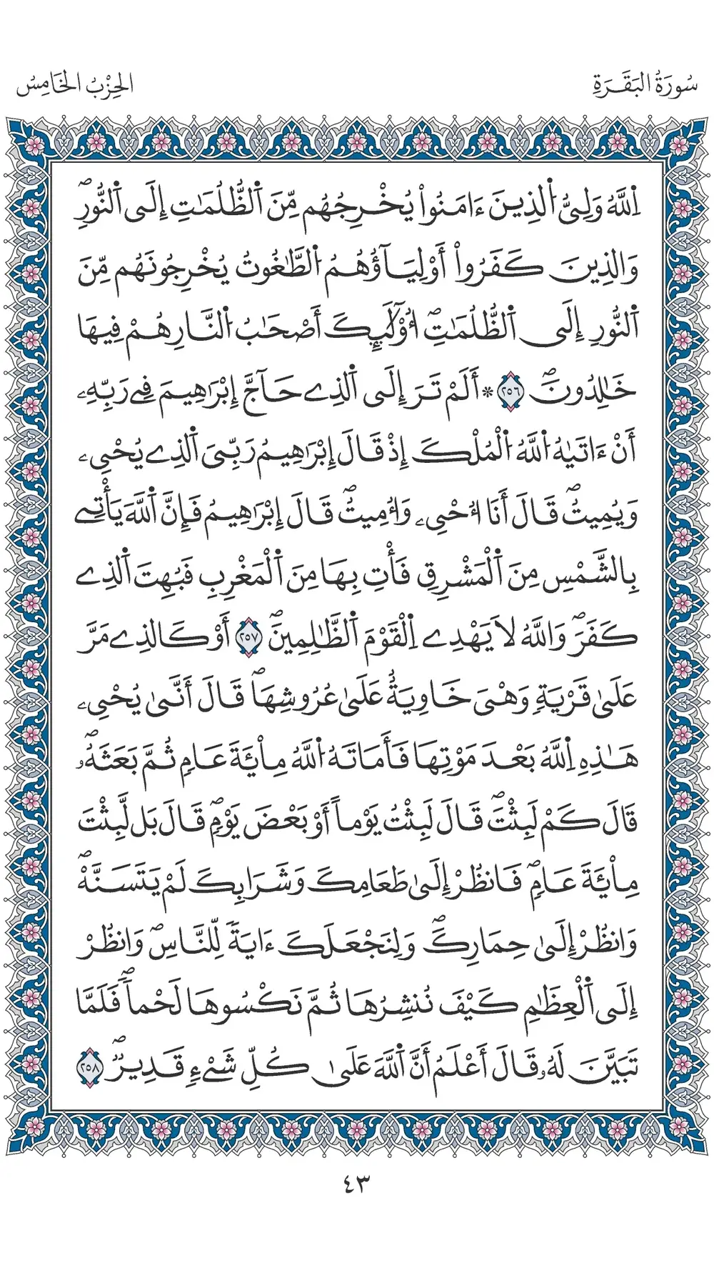 صفحة 43