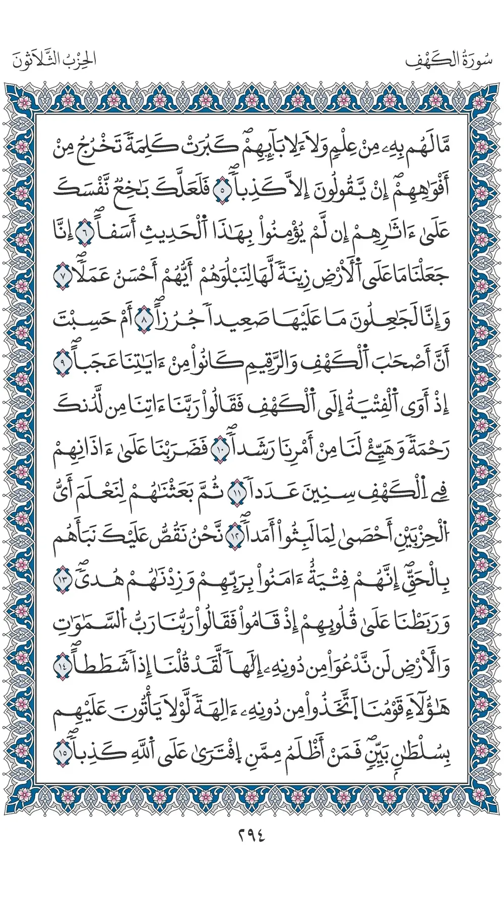 صفحة 294