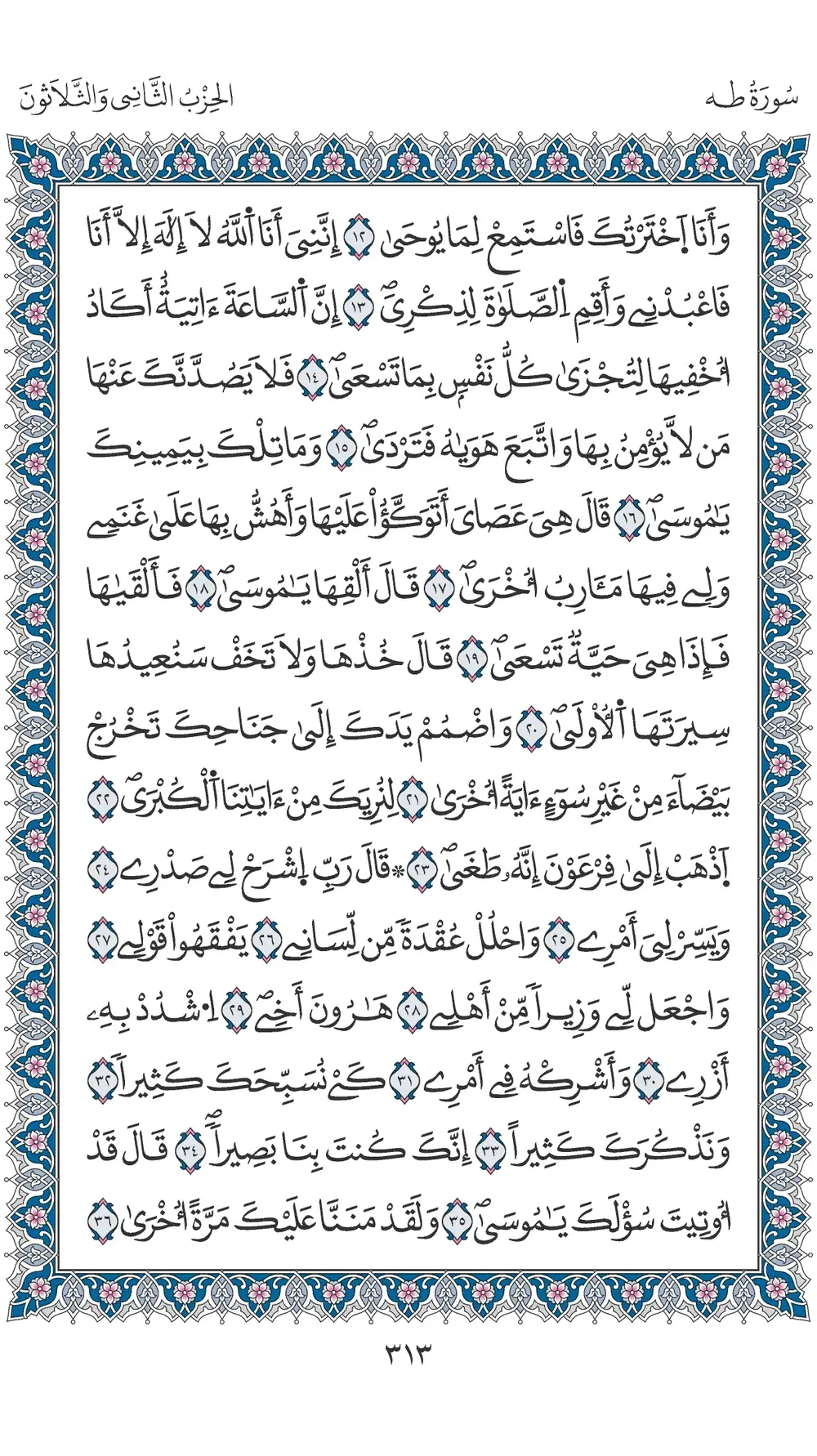صفحة 313