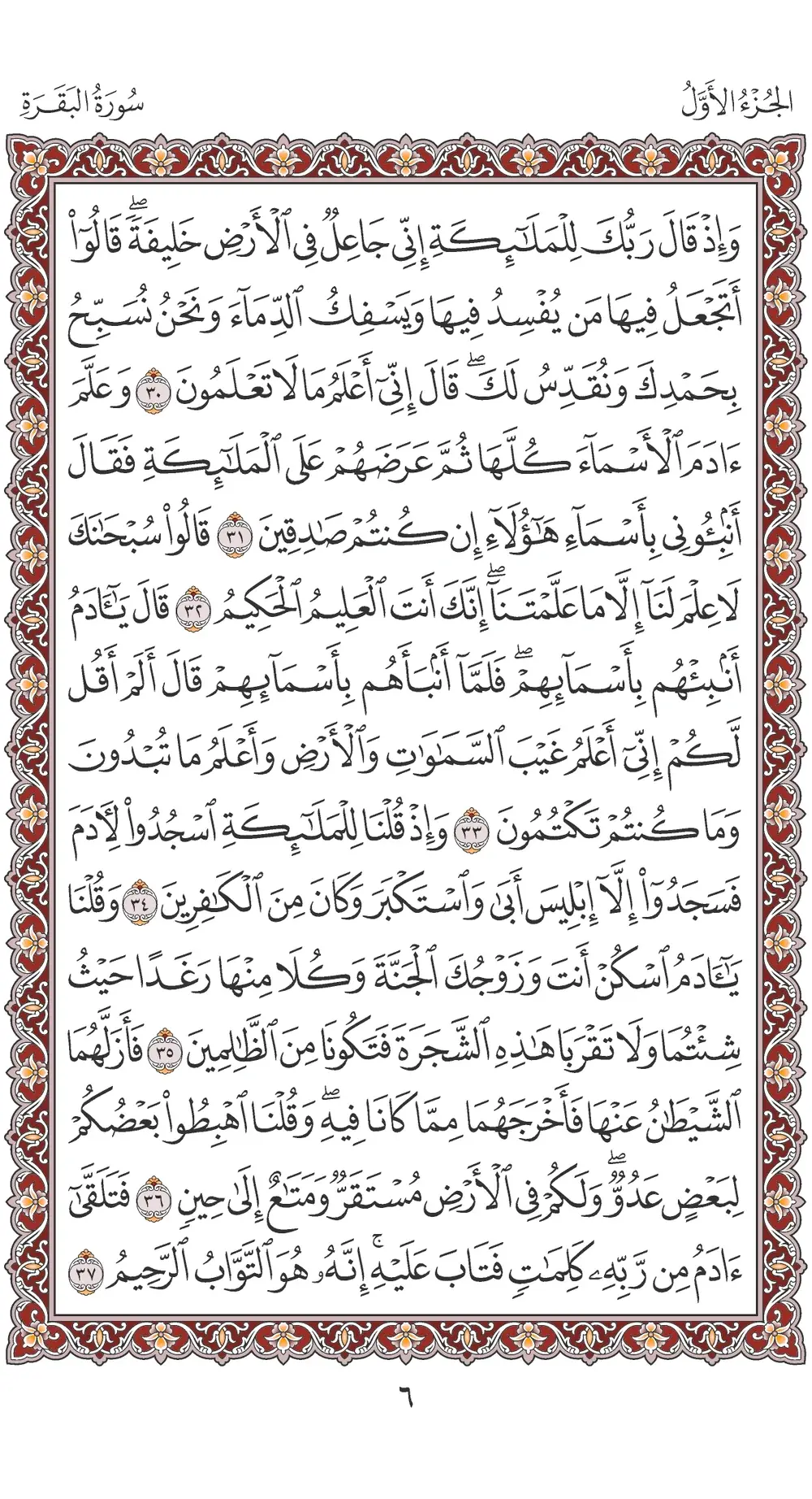 صفحة 6