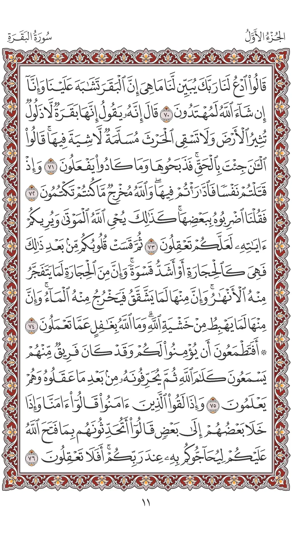 صفحة 11