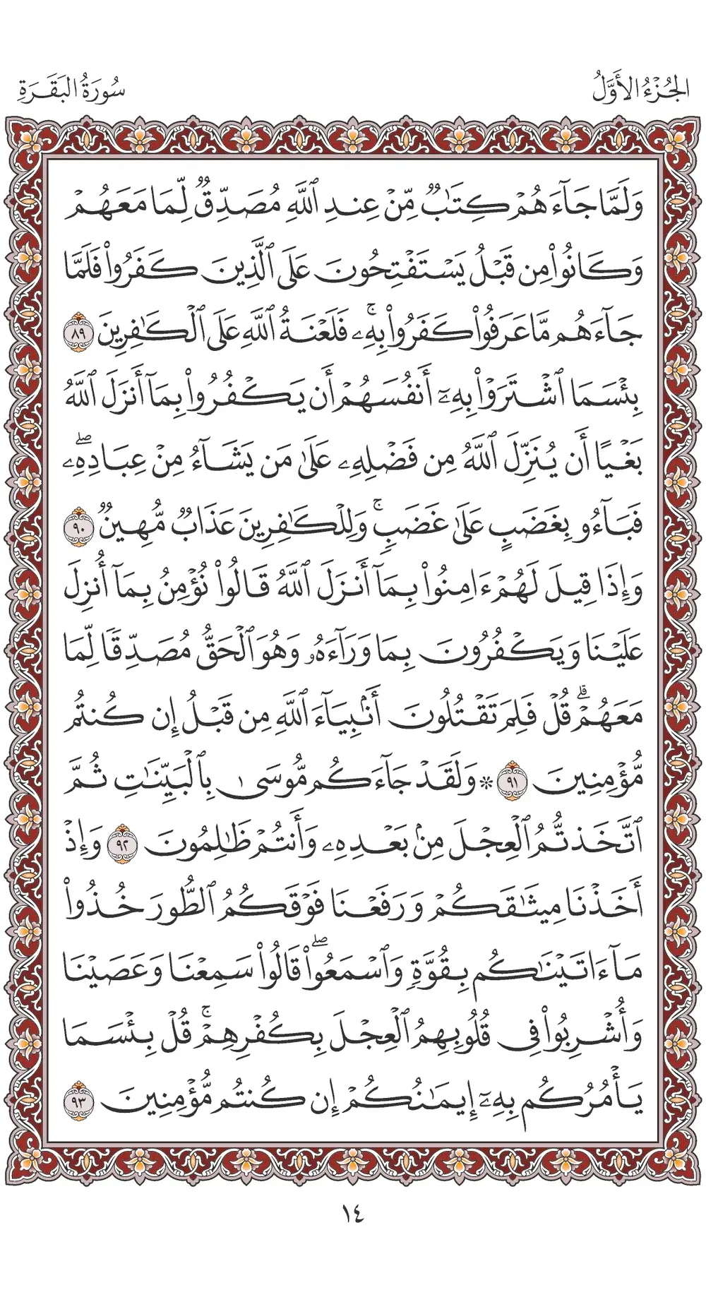 صفحة 14