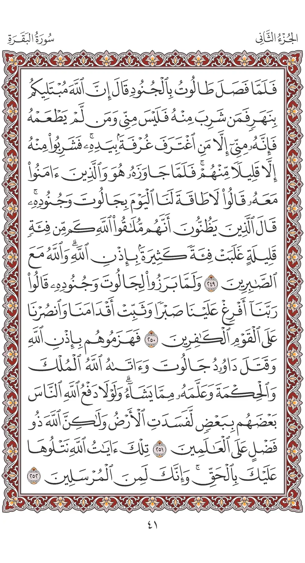 صفحة 41