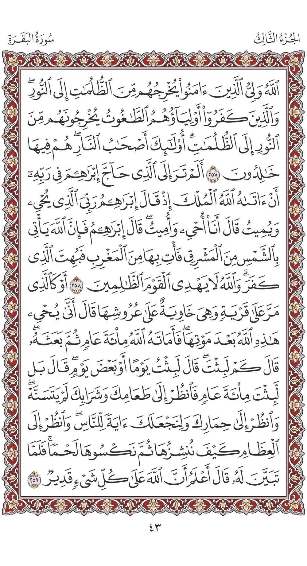 صفحة 43