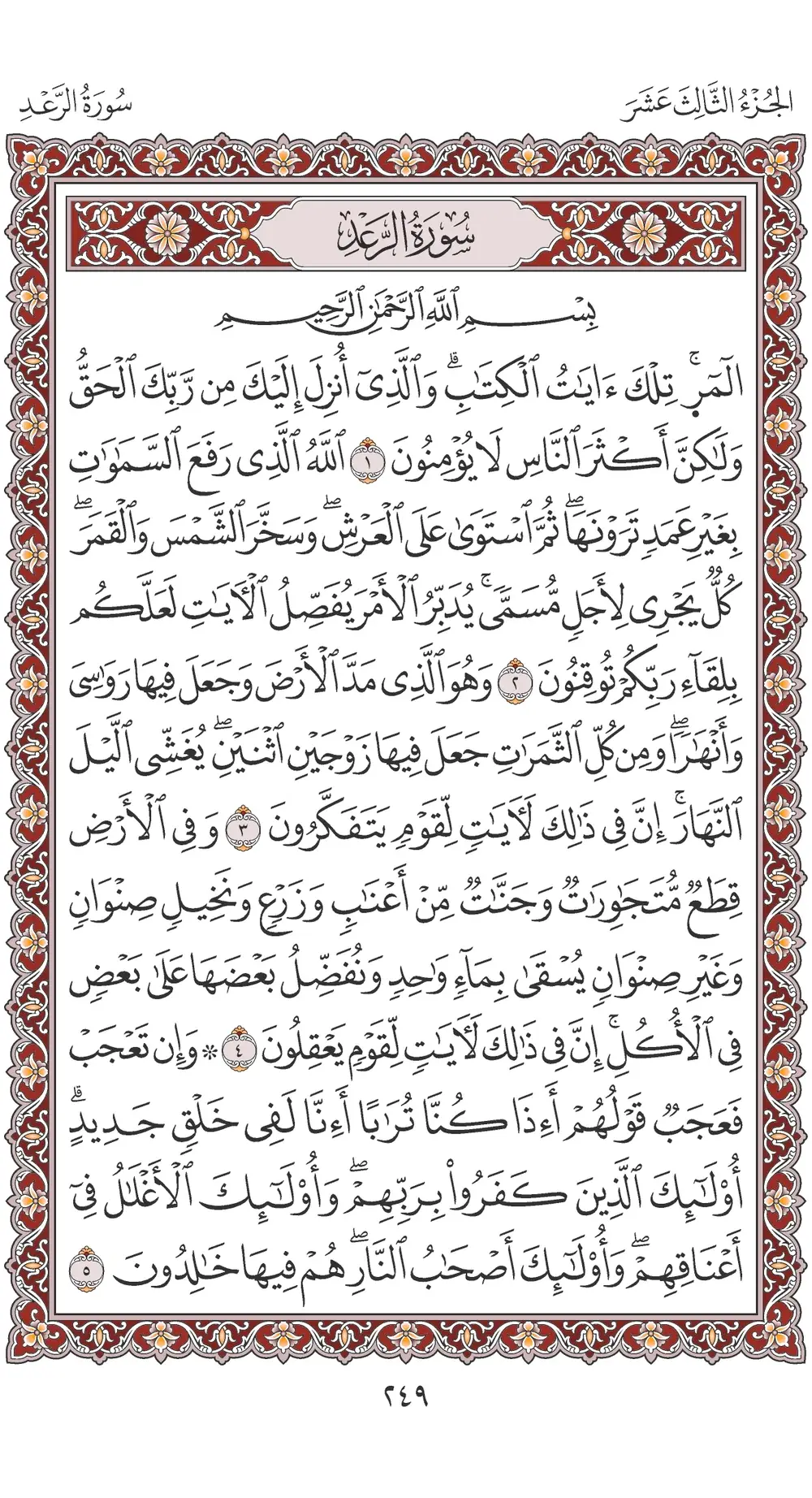صفحة 249