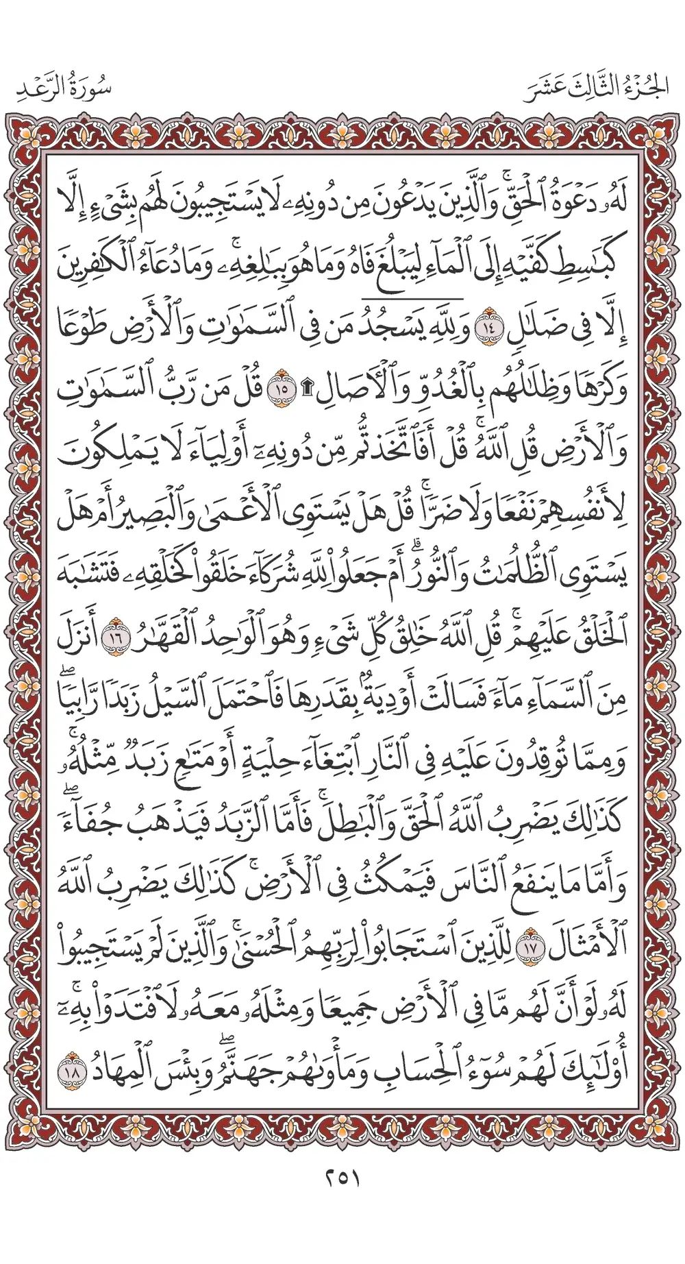صفحة 251