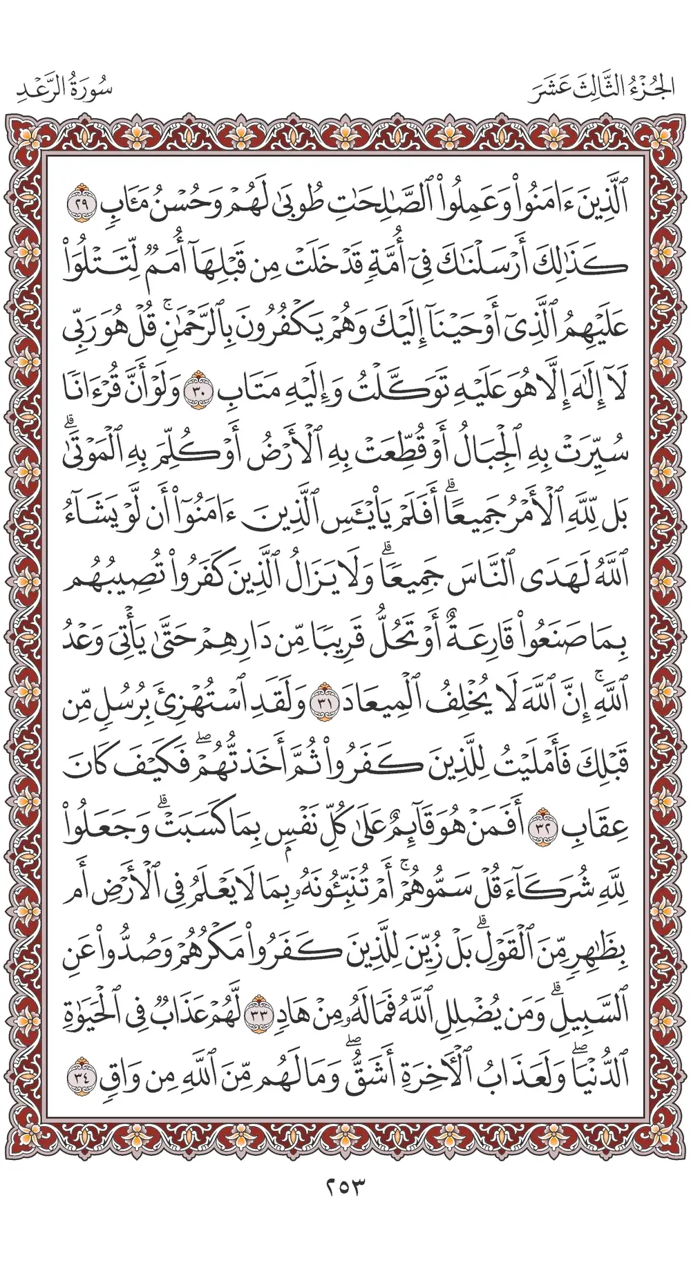 صفحة 253