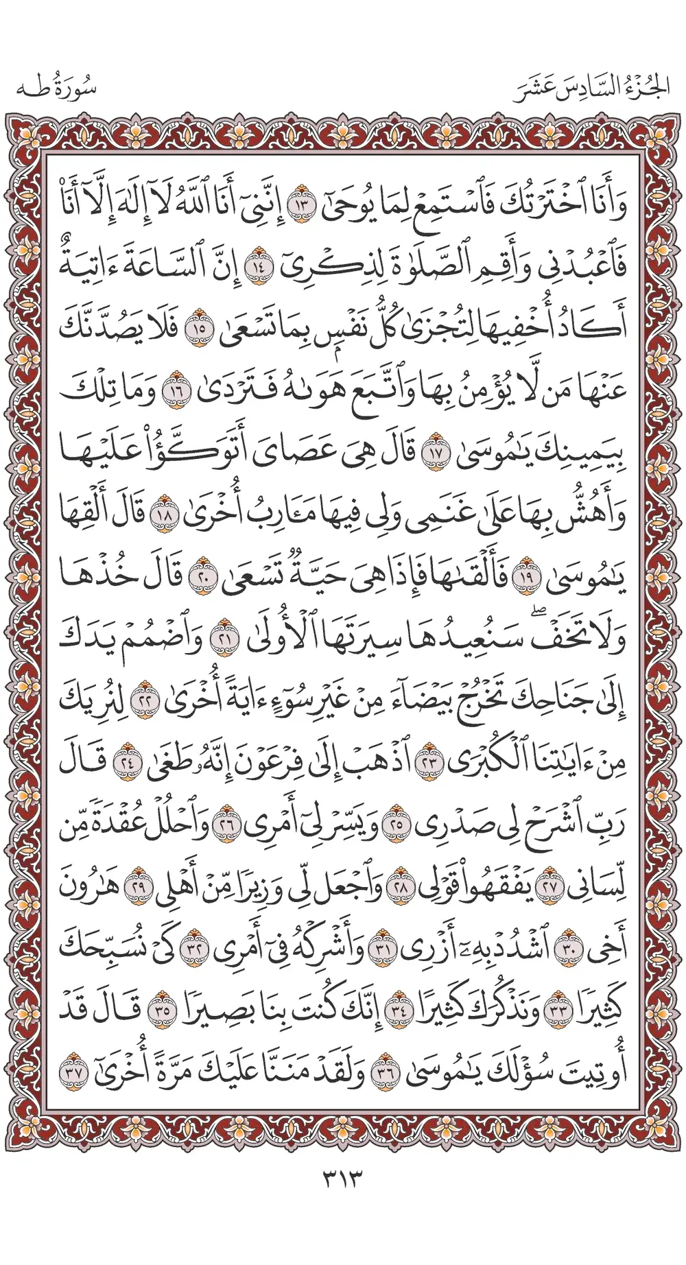 صفحة 313