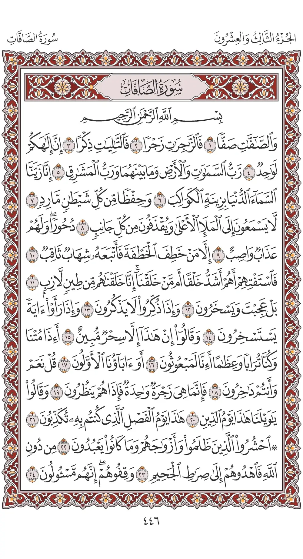 صفحة 446