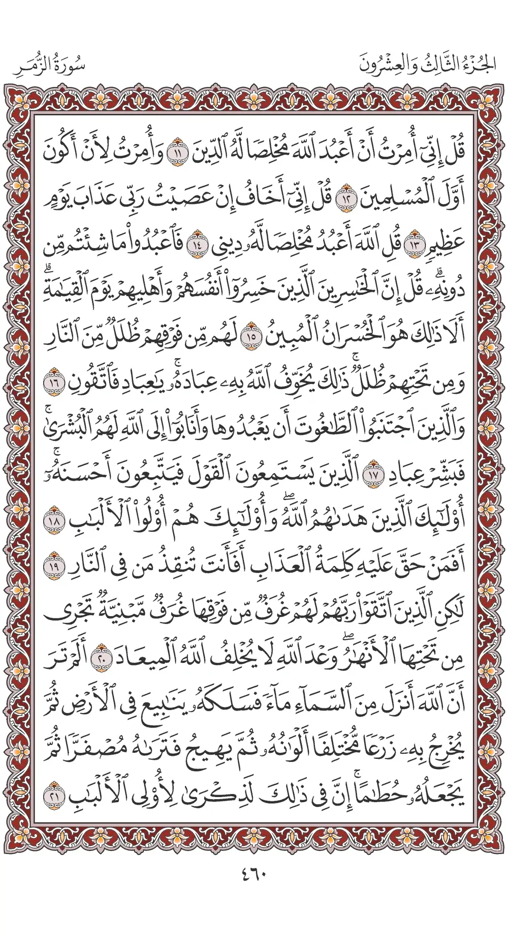 صفحة 460