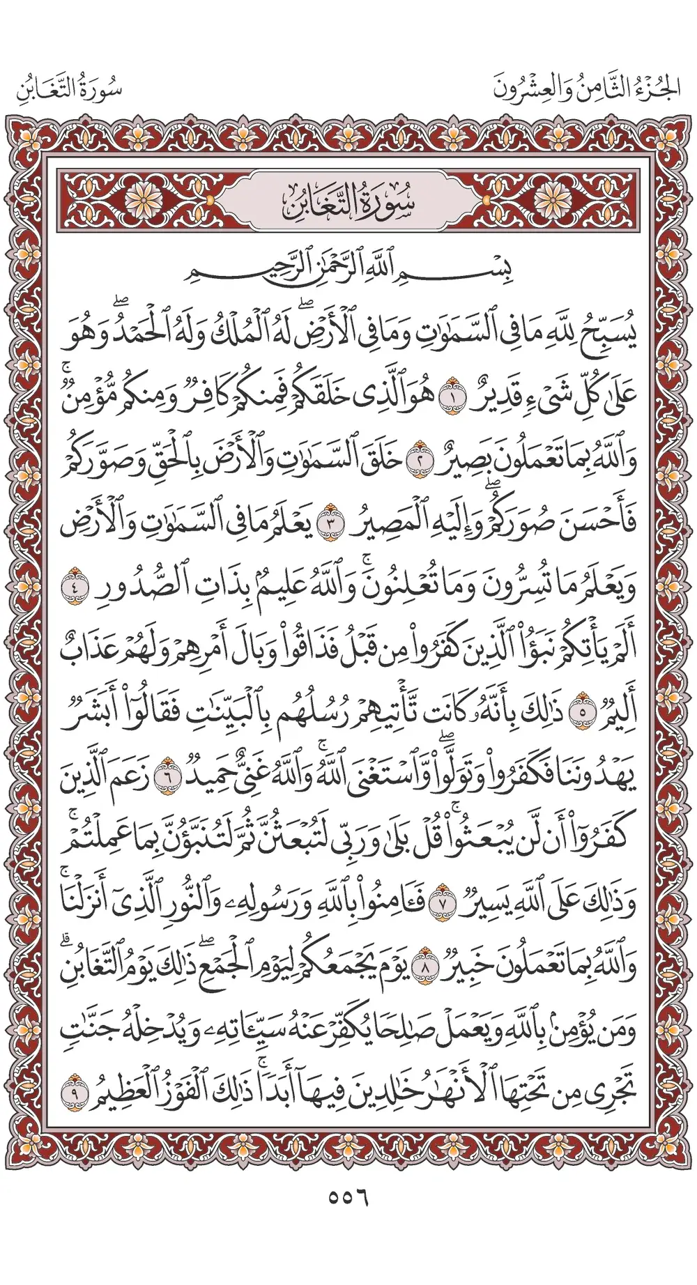 صفحة 556