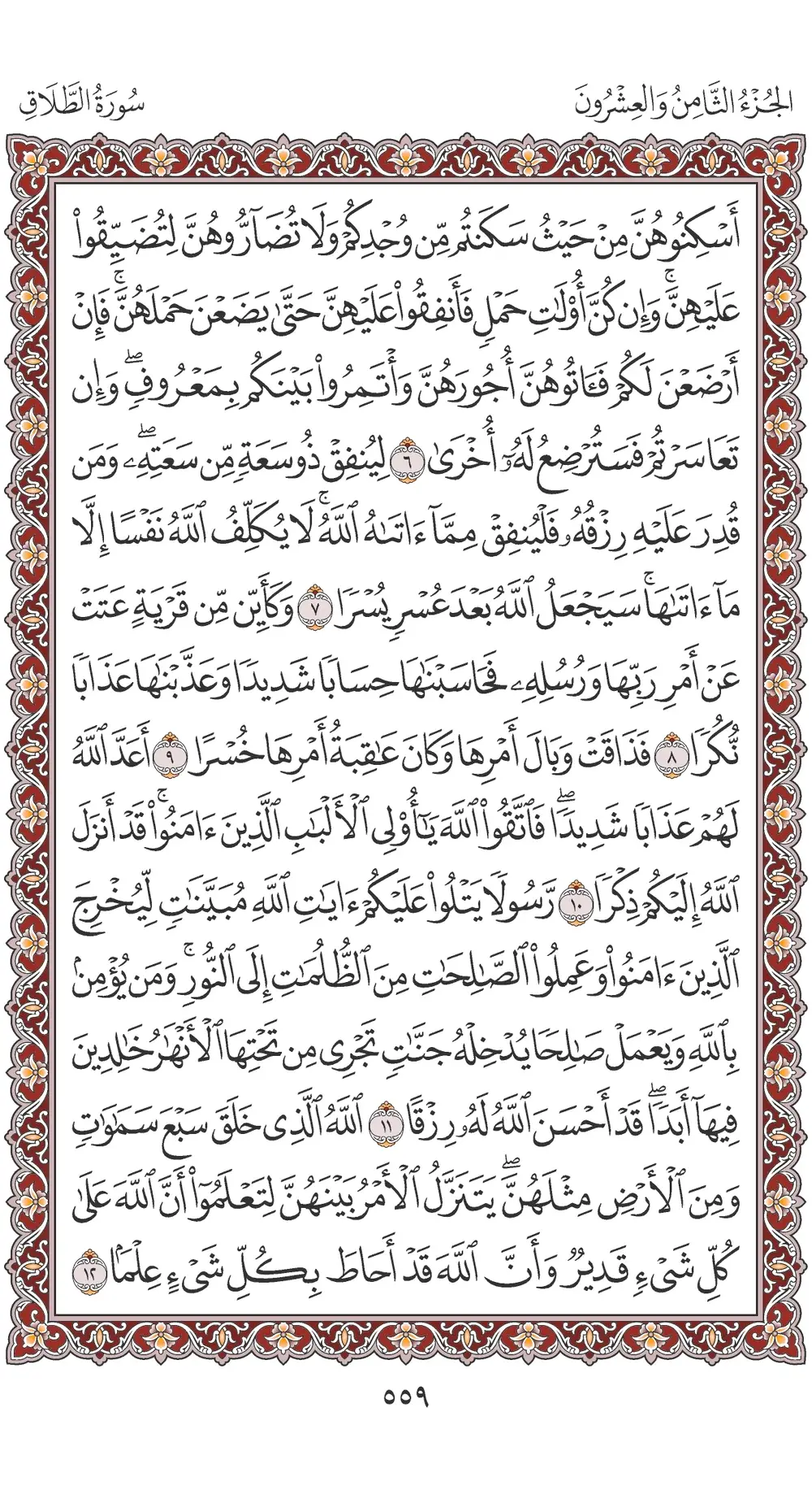صفحة 559