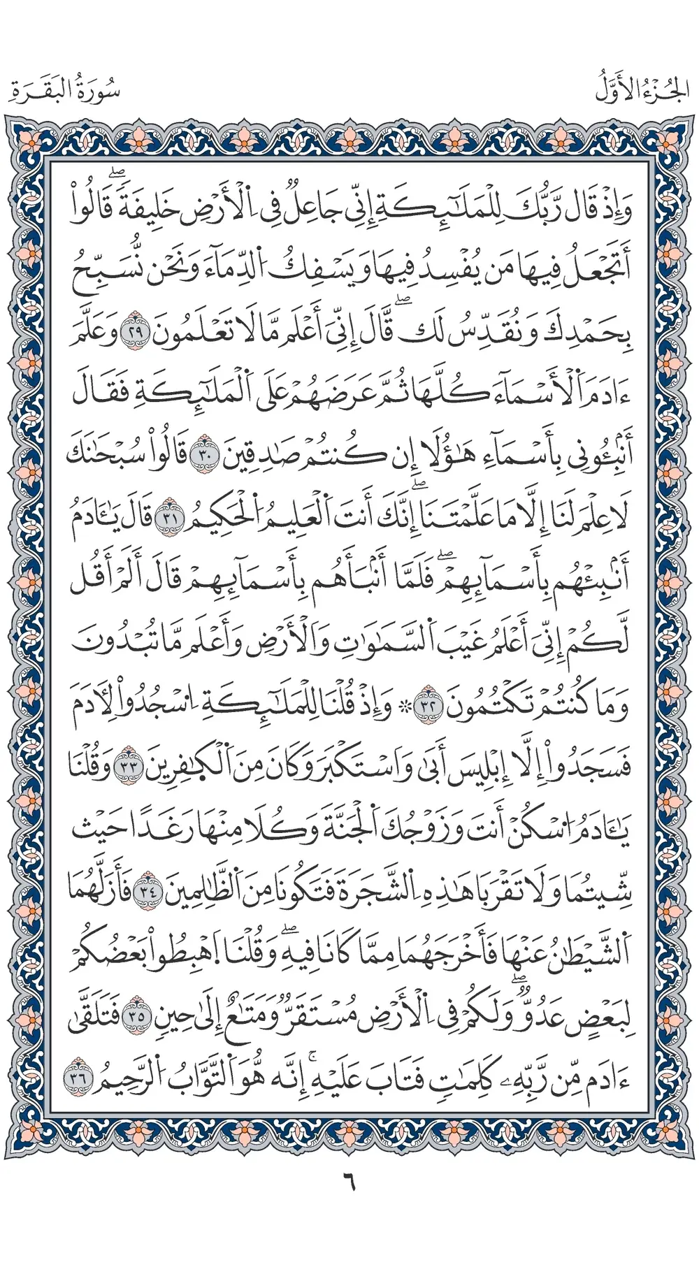 صفحة 6