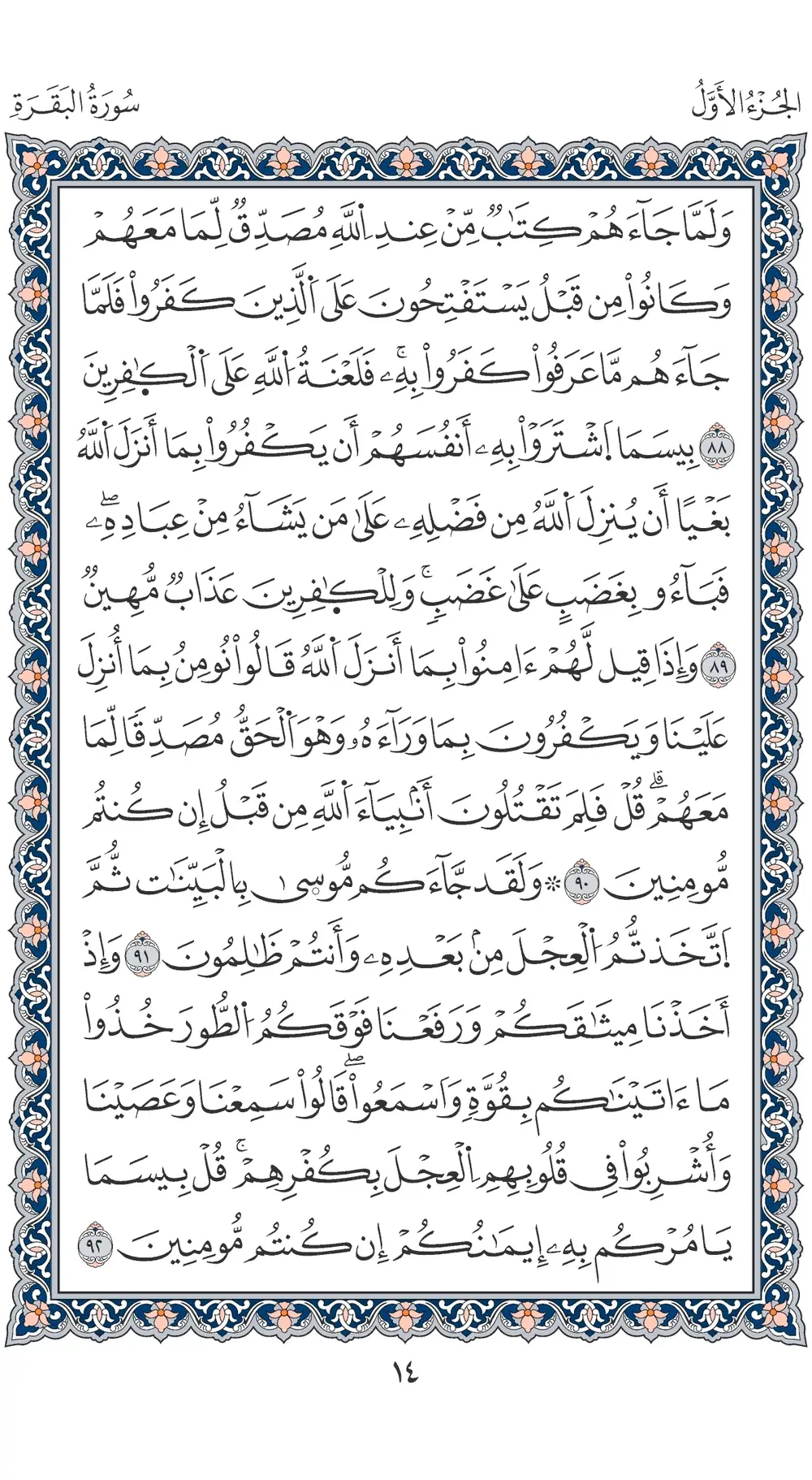 صفحة 14
