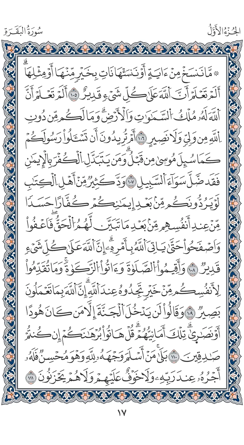 صفحة 17