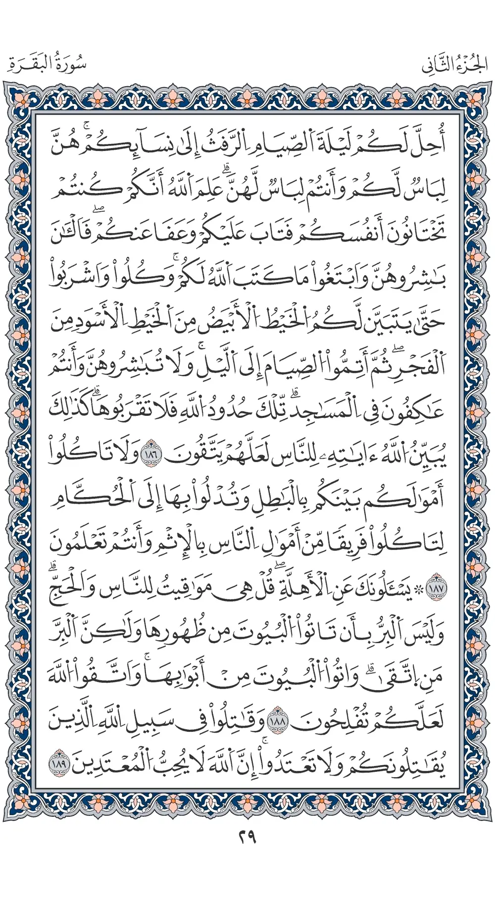 صفحة 29