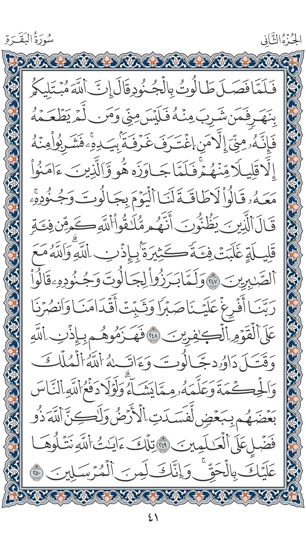 صفحة 41