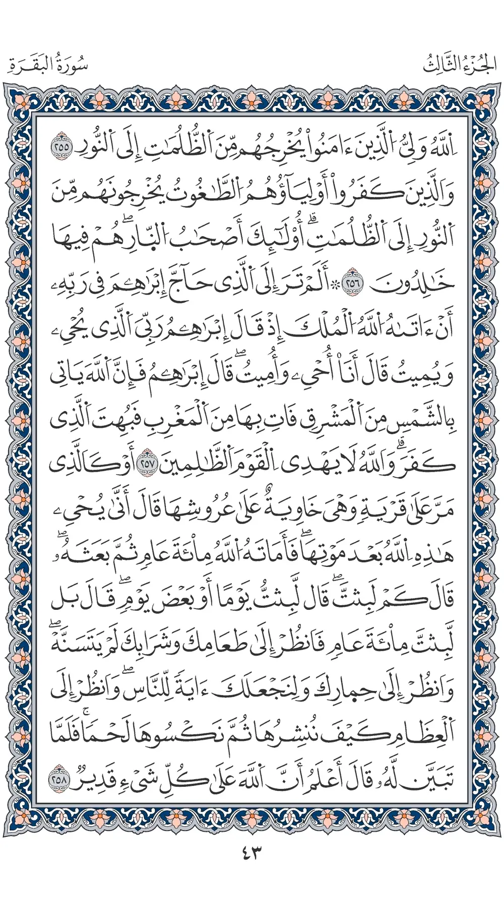 صفحة 43
