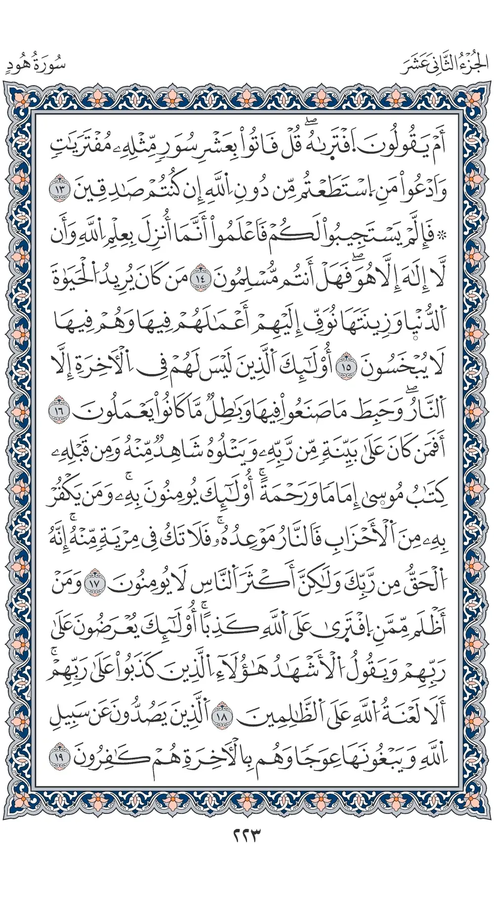 صفحة 223