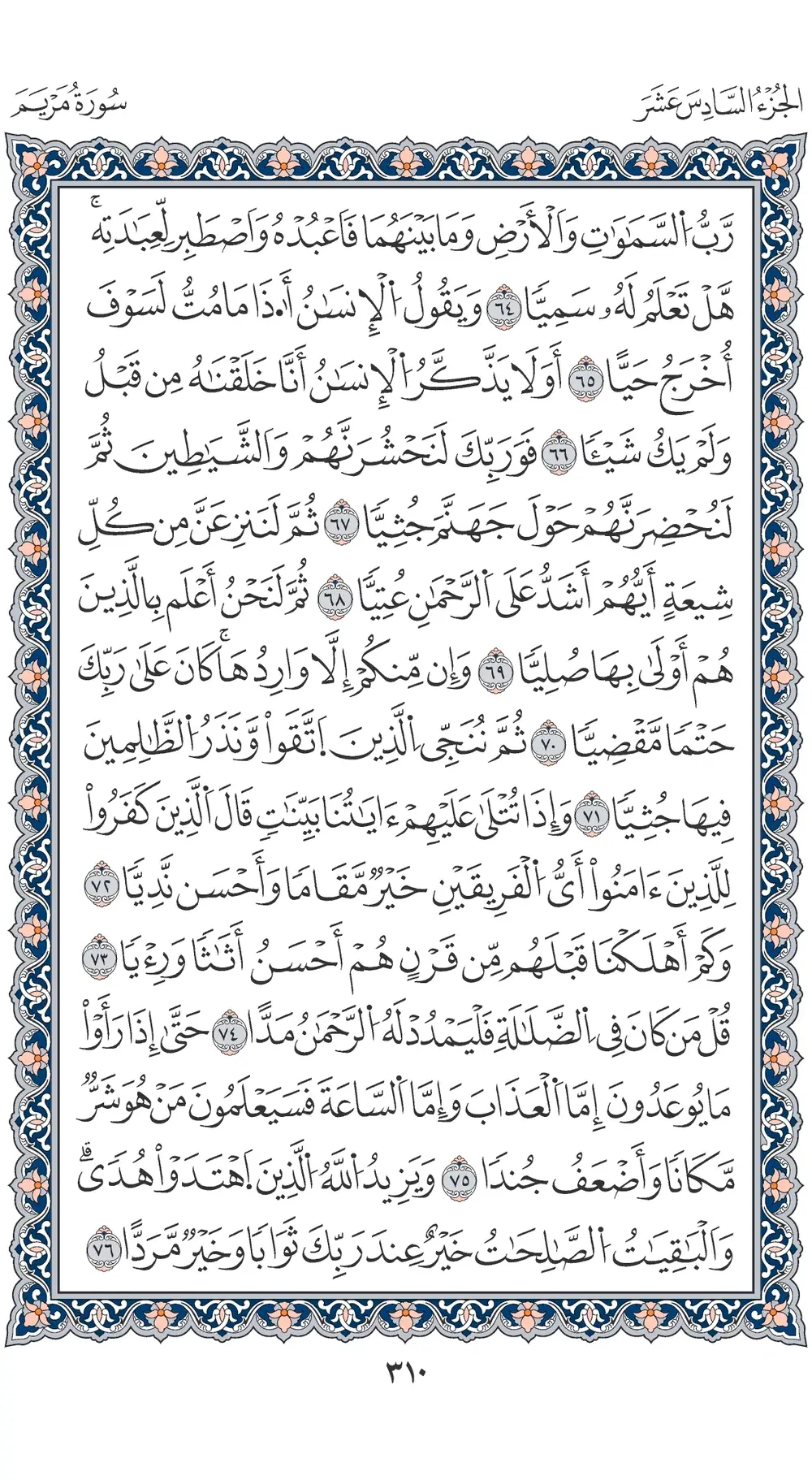 صفحة 310