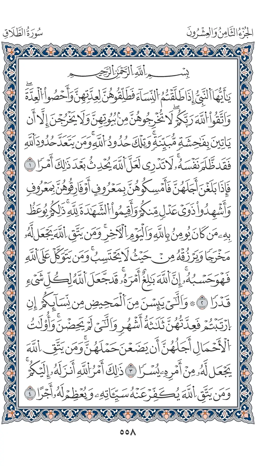 صفحة 558