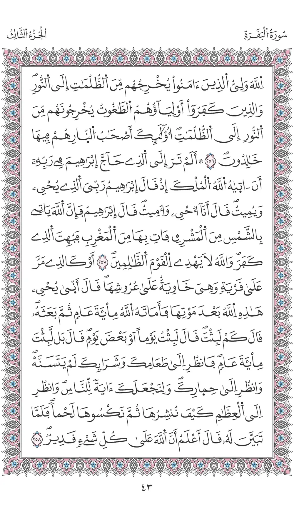 صفحة 43