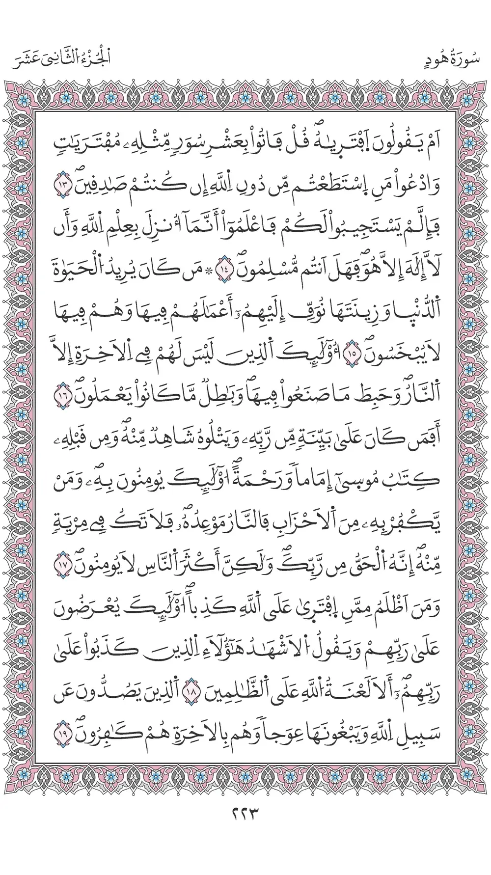 صفحة 223