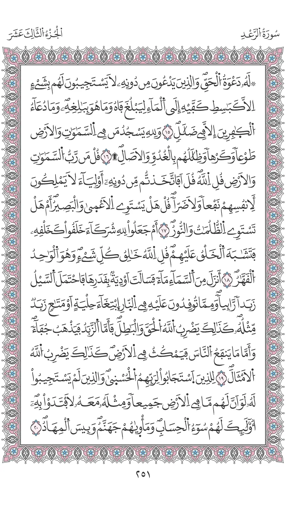 صفحة 251