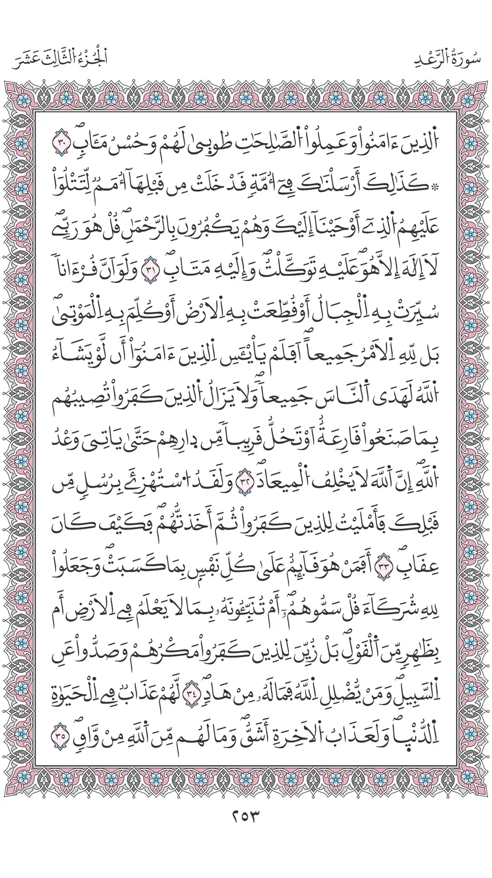 صفحة 253
