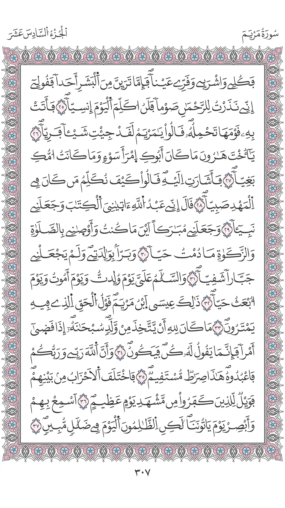 صفحة 307
