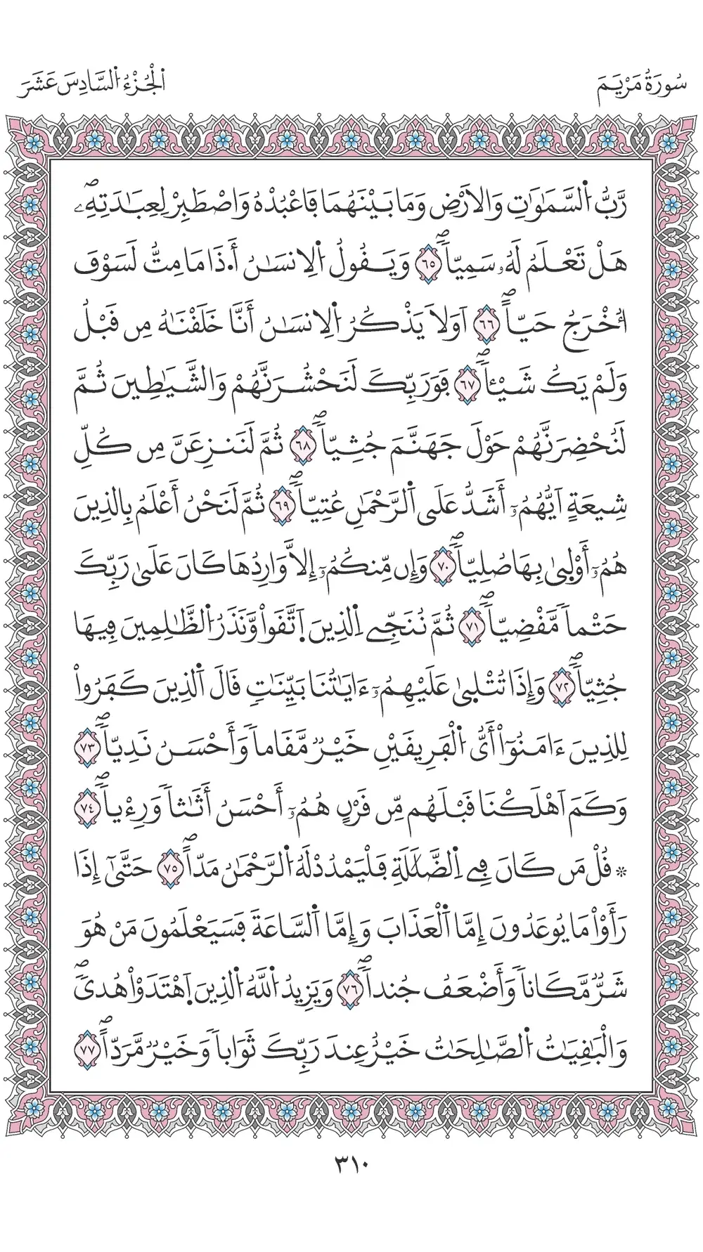 صفحة 310