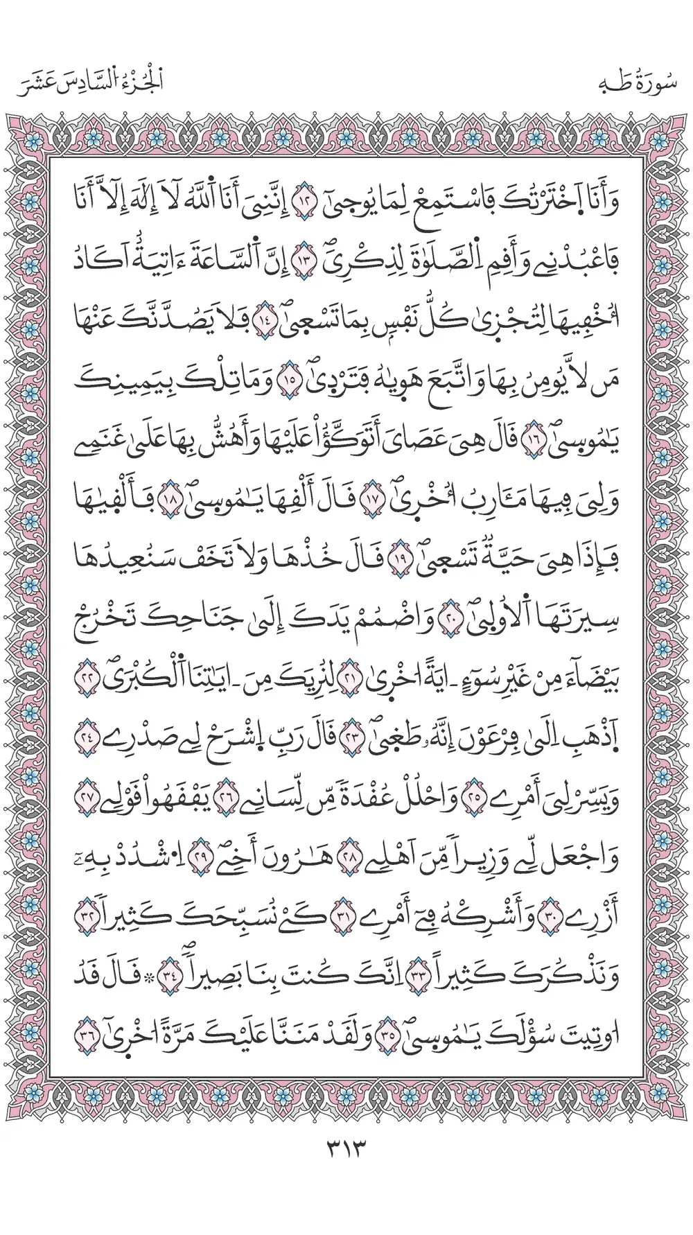 صفحة 313